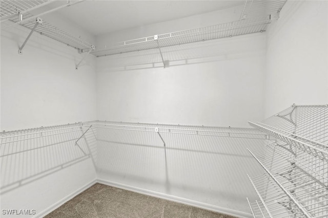 walk in closet featuring carpet flooring