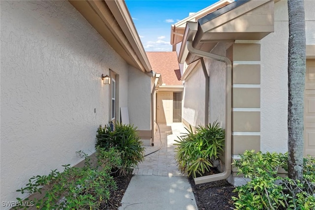 entrance to property with roof with shingles, a patio, and stucco siding