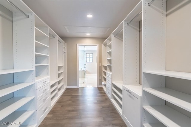 walk in closet featuring dark hardwood / wood-style flooring