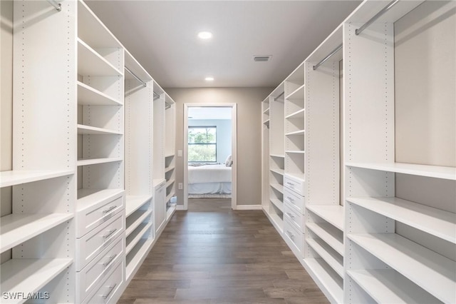 spacious closet featuring dark wood-type flooring