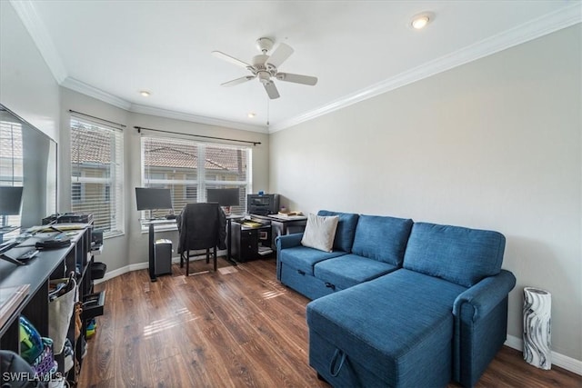 office featuring ceiling fan, dark wood-type flooring, and ornamental molding