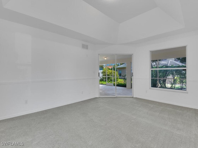 empty room featuring light colored carpet and a raised ceiling