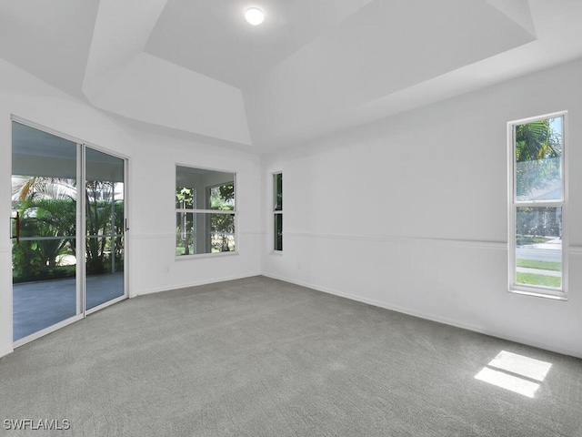 empty room featuring carpet flooring, a healthy amount of sunlight, and a raised ceiling