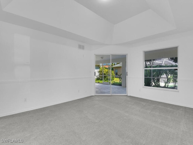 carpeted spare room with a raised ceiling