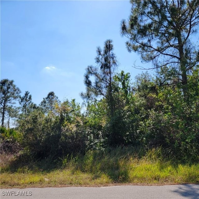 501 Willowbrook Dr, Lehigh Acres FL, 33972 land for sale