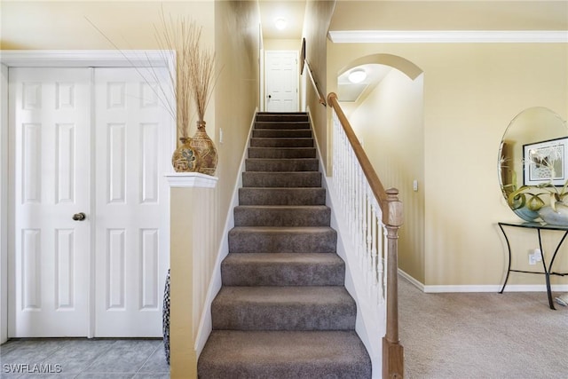 stairway with carpet and ornamental molding