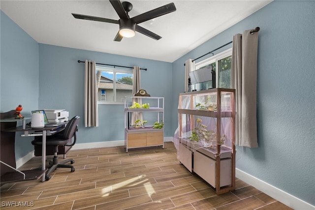 office with ceiling fan