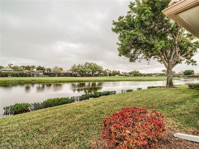 property view of water