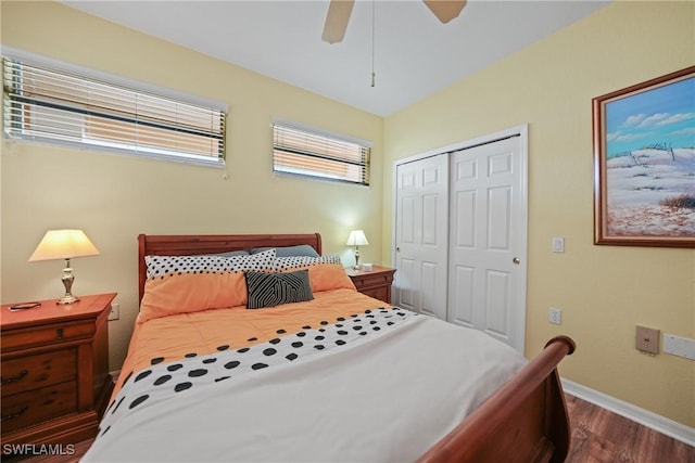 bedroom featuring ceiling fan, dark hardwood / wood-style flooring, and a closet