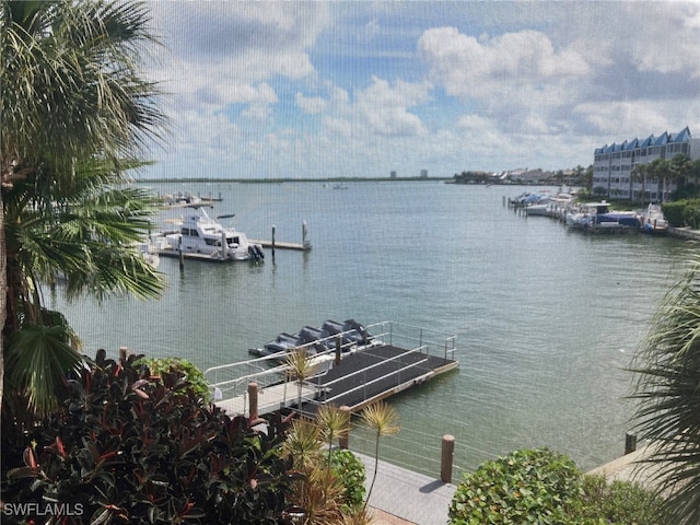 dock area with a water view