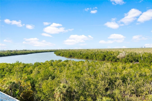 property view of water