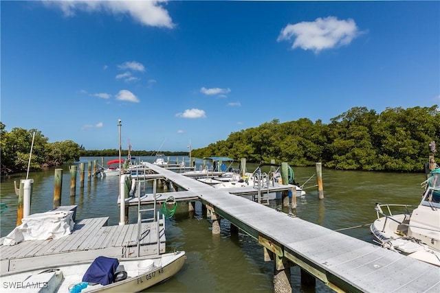 dock area with a water view