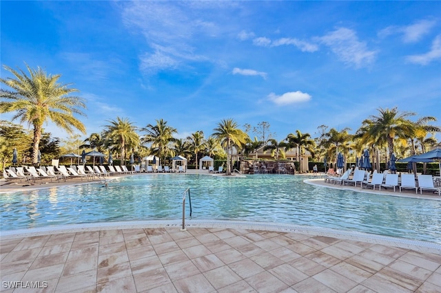 view of pool with a patio area