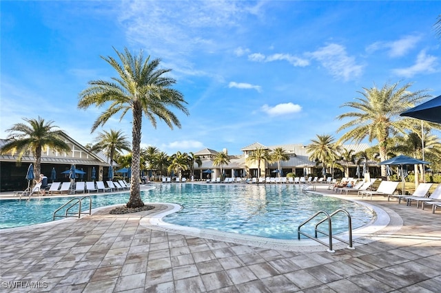 view of swimming pool featuring a patio