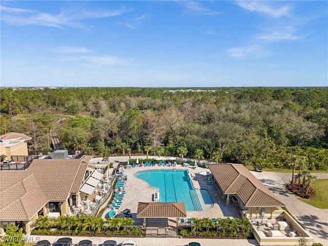 view of swimming pool