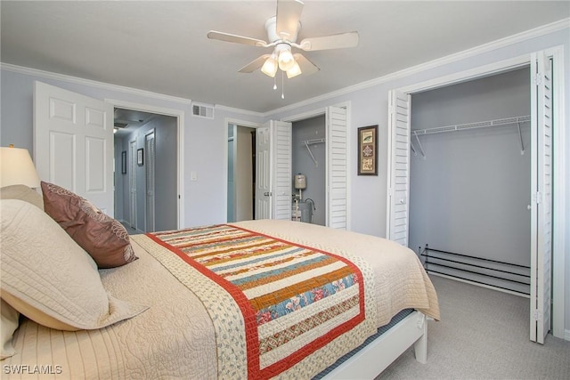 bedroom with carpet, ornamental molding, ceiling fan, and multiple closets