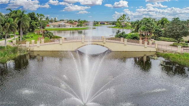 property view of water