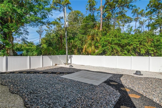 view of yard featuring a patio area