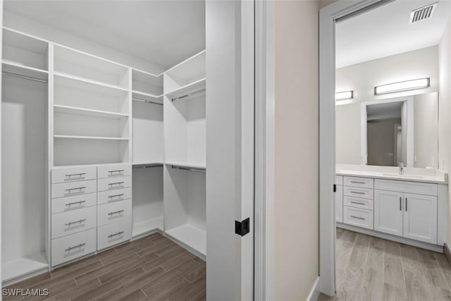 walk in closet featuring visible vents, a sink, and wood finish floors