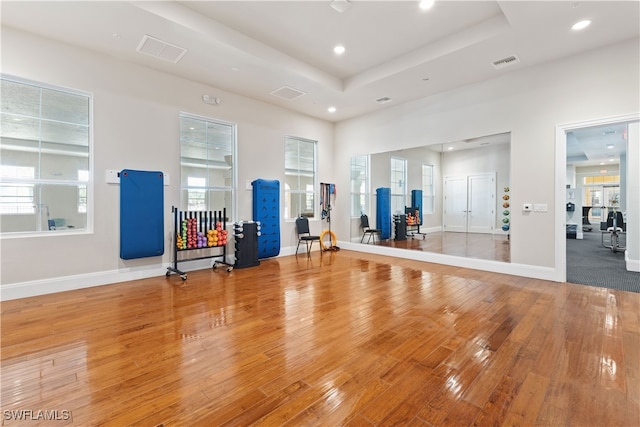 exercise room featuring a raised ceiling, plenty of natural light, and hardwood / wood-style flooring