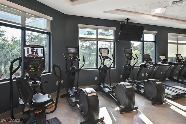 exercise room featuring wood-type flooring, a wealth of natural light, and a tray ceiling