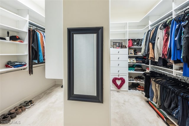 spacious closet with carpet