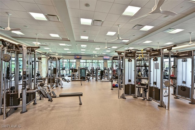 exercise room with a drop ceiling and a healthy amount of sunlight