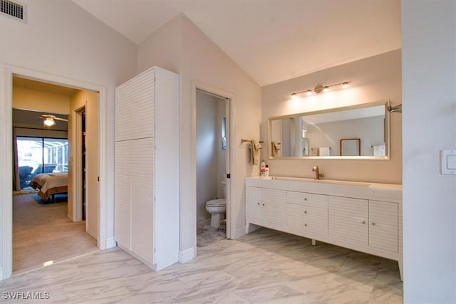 bathroom with vanity, vaulted ceiling, and toilet