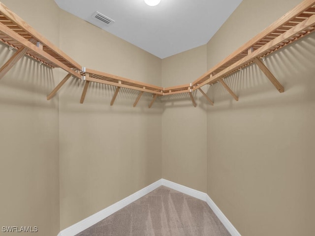 walk in closet with carpet flooring