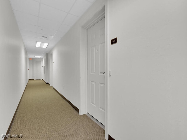 hall with light carpet and a drop ceiling