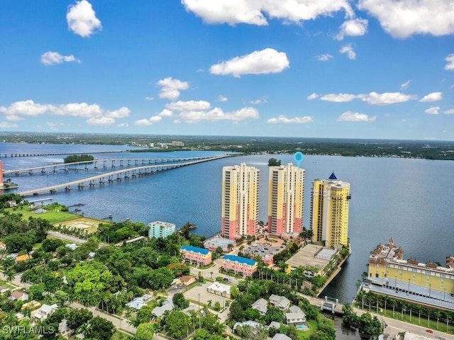 drone / aerial view with a water view