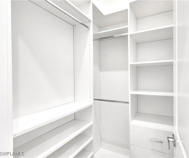 view of spacious closet