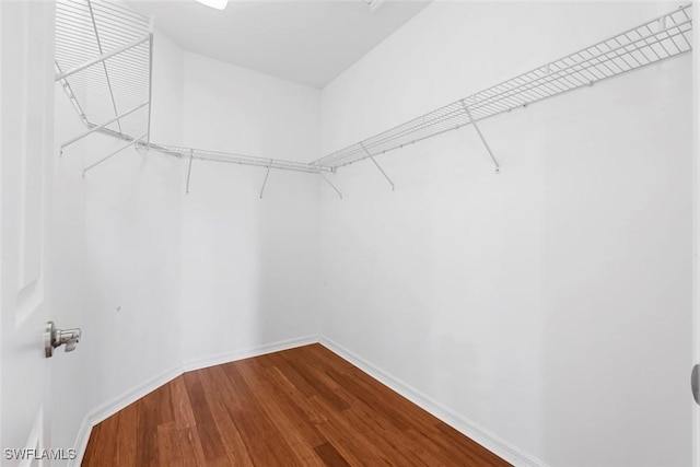 walk in closet featuring dark wood finished floors
