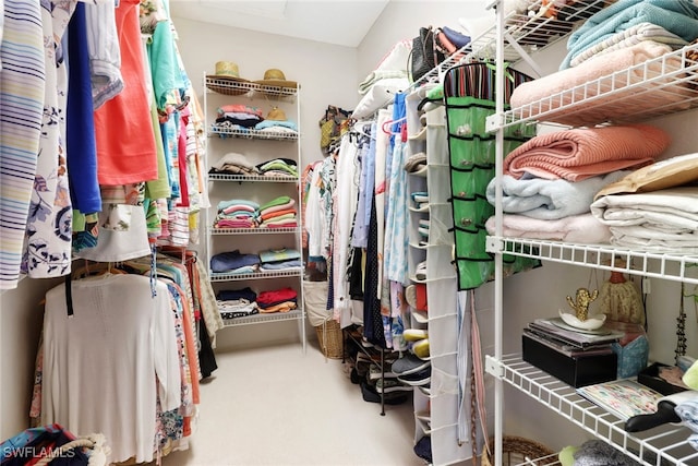 spacious closet featuring carpet