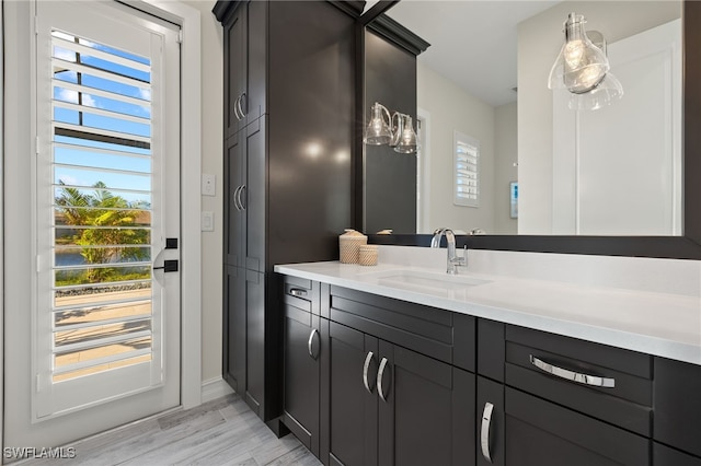 bathroom featuring hardwood / wood-style flooring and vanity