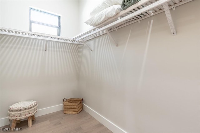 walk in closet with light wood-type flooring