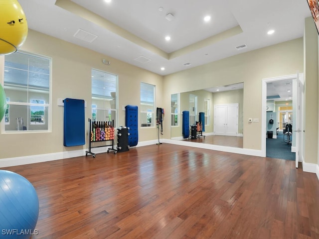 workout area featuring a tray ceiling and hardwood / wood-style floors