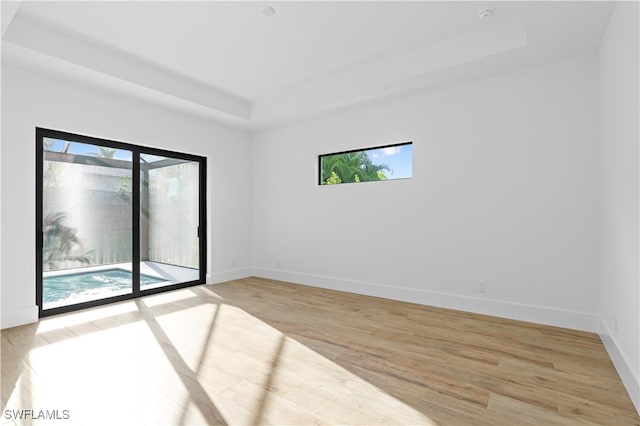 spare room featuring light hardwood / wood-style flooring and a tray ceiling