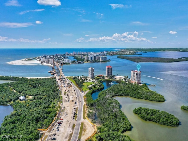 bird's eye view with a water view