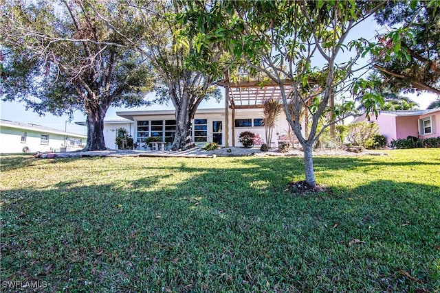 back of house featuring a yard