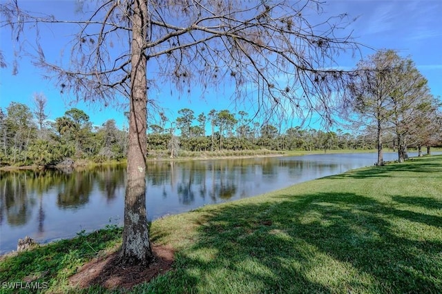 water view