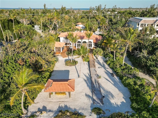 bird's eye view