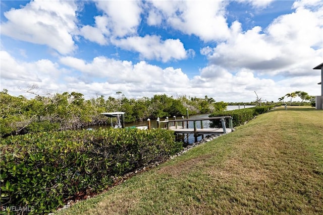 dock area featuring a yard