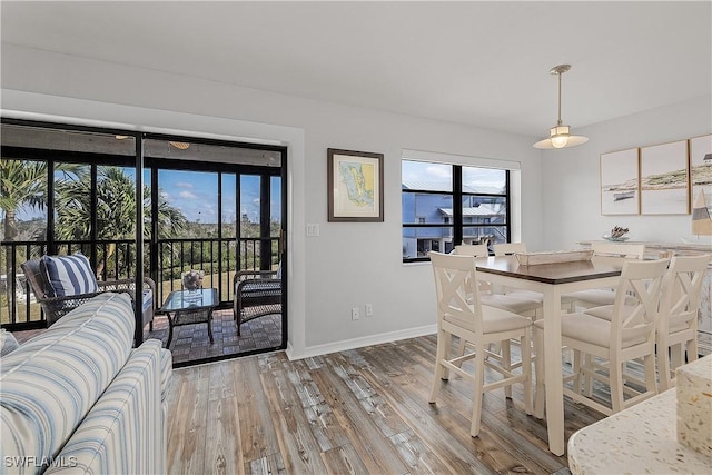 dining room featuring hardwood / wood-style floors