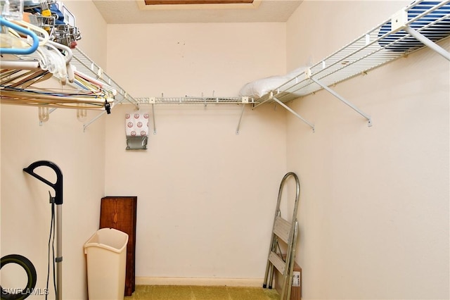 walk in closet featuring light colored carpet