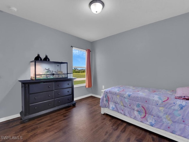 bedroom with dark hardwood / wood-style floors