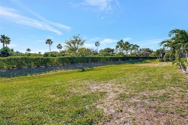 view of yard with a rural view