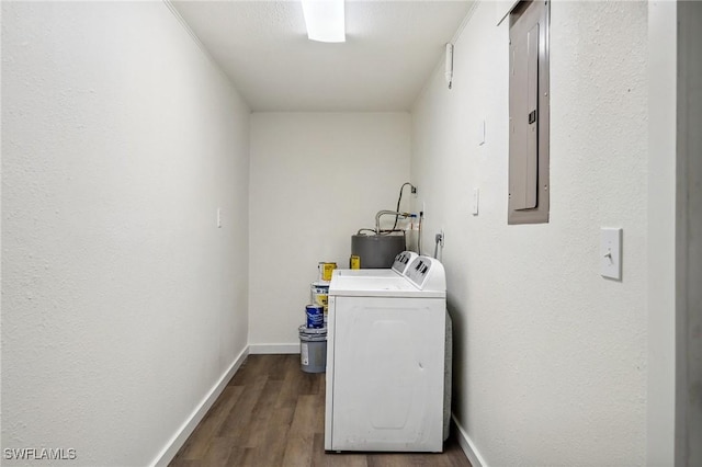 laundry area with hardwood / wood-style flooring, separate washer and dryer, electric panel, and water heater