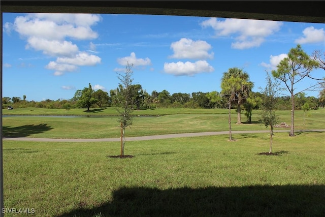 view of property's community with a yard