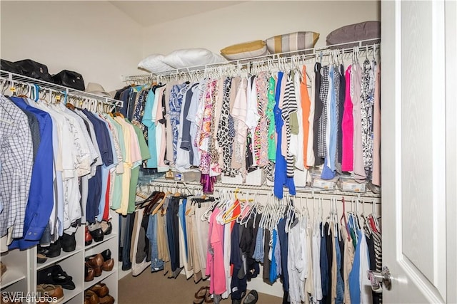 view of spacious closet